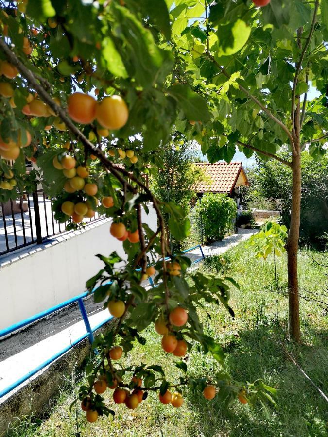 Apartment Eden Crikvenica Kültér fotó